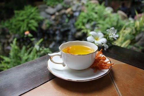 Nen dung dong trung ha thao luc con nong 03