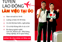 Photo of Review Chương Trình XKLĐ Tại An Dương Global Quảng Trị