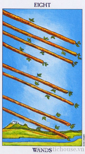 eight of wands