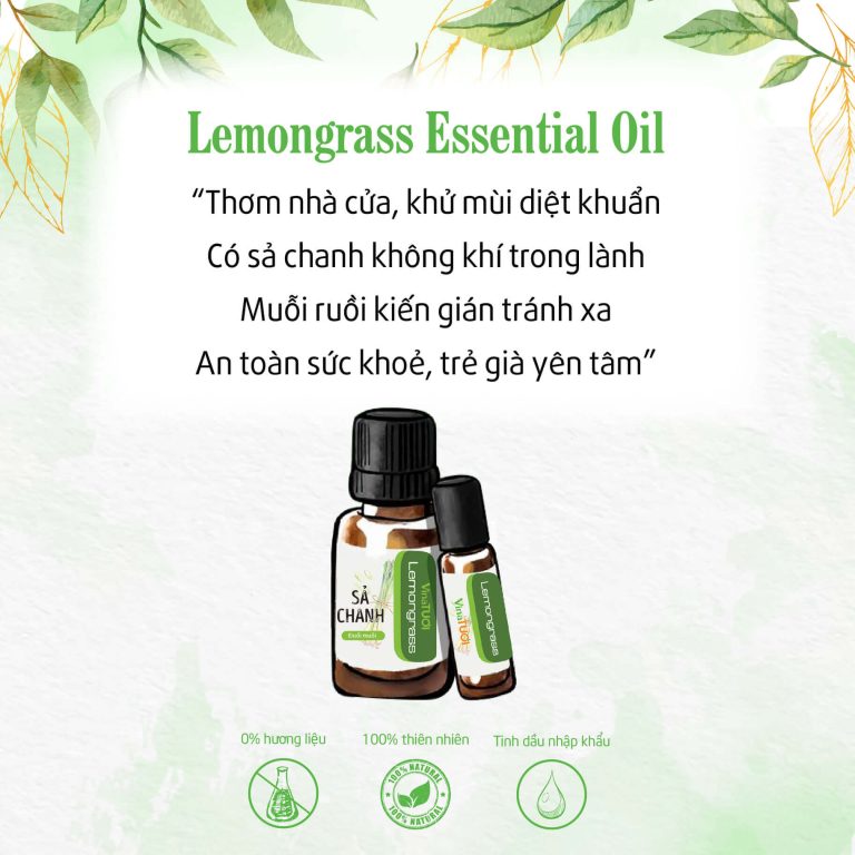 Công dụng tuyệt vời của tinh dầu sả chanh 50ml đối với sức khỏe 30 tinh dau sa chanh va tac dung tuyet voi