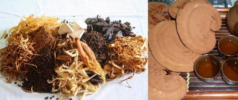 2 su dung thao duoc ket hop nam linh chi