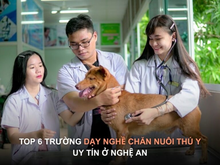 trường dạy nghề chăn nuôi thú ý nghệ an